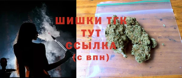 винт Тавда