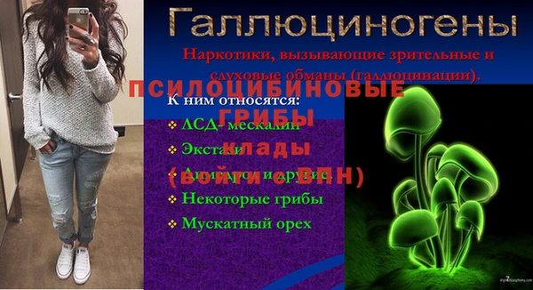 спайс Окуловка